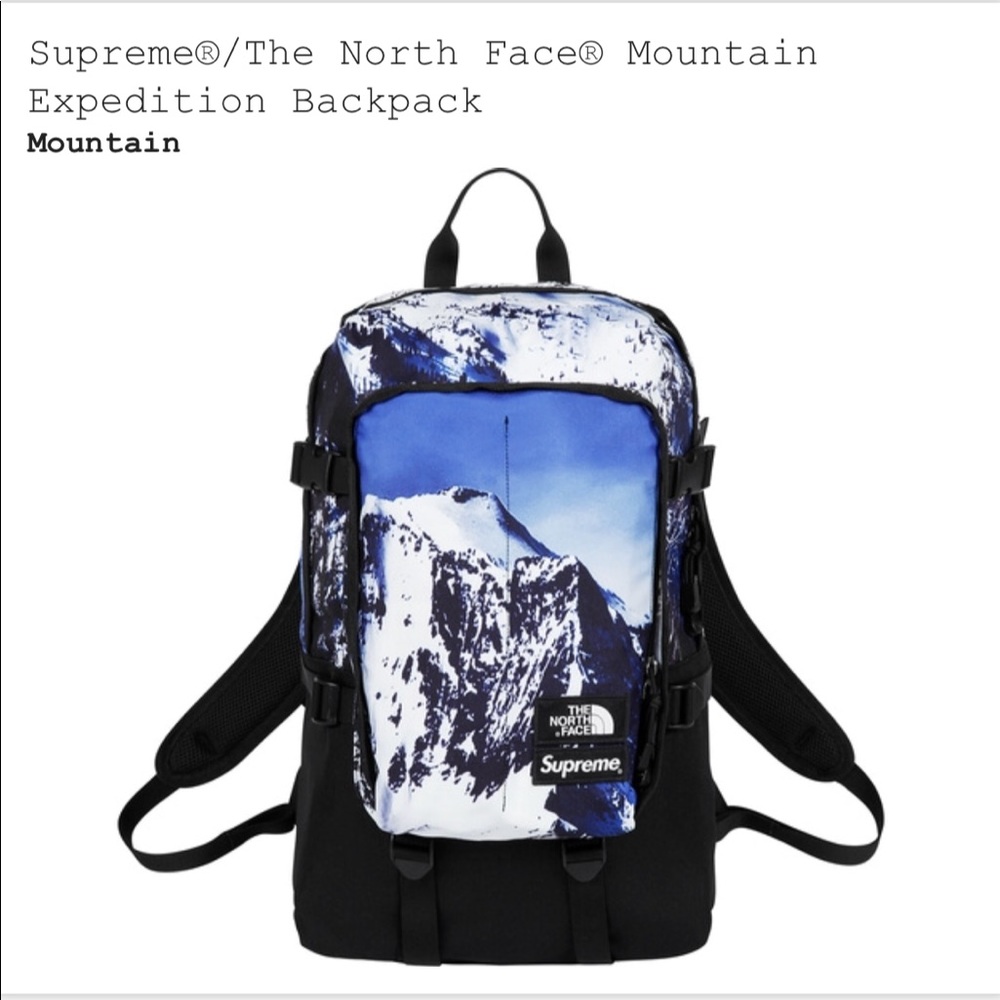 Supreme/The North Face Backpack